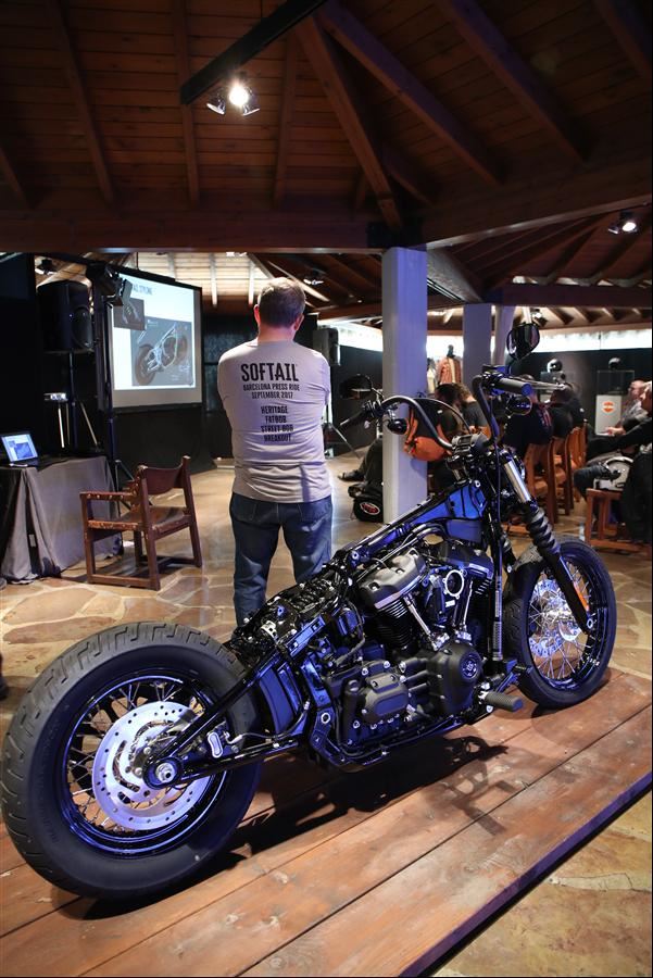 Harley Davidson’dan Kadife Devrim: Softail Custom’lar  5. İçerik Fotoğrafı